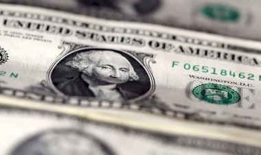 Dolar/TL 15'i aşarak rekor kırdı
