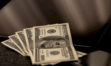 Dolarda yeni tarihi zirve: 16'yı geçti!