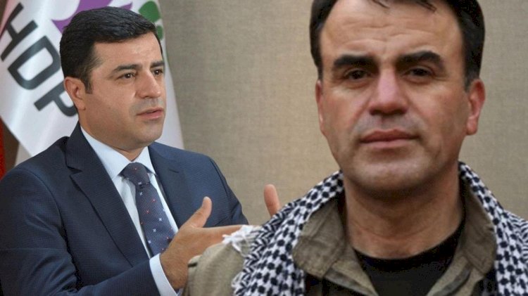 Selahattin Demirtaş’ın kardeşinin mal varlığı donduruldu