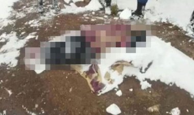 Van sınırında donarak ölen kadın, 2 çocuğunun canını kurtardı