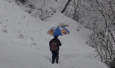 Van ve Erzincan'da eğitime kar engeli