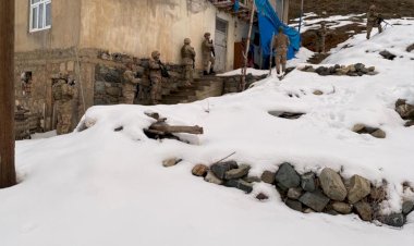 Bitlis merkezli 4 ilde operasyon