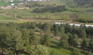 Diyarbakır'da Bahçeli adına yapılmak istenen ormana tepki: İstemiyoruz!