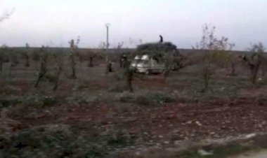 Afrin'de Türkiye destekli gruplar yüzlerce zeytin ağacı kesti