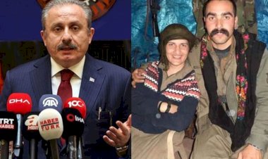 Şentop’tan HDP'li Semra Güzel'in fotoğrafları hakkında açıklama