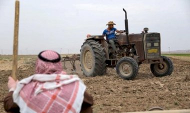 Kerkük| Araplar'dan Kürt köyündeki tarım arazilerine el koyma girişimi