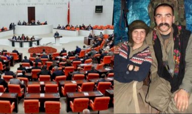 HDP Milletvekili Semra Güzel'in dokunulmazlık dosyası Meclis'te