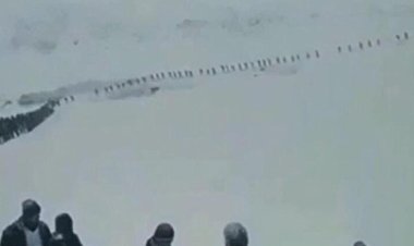 Van Valiliği'nden tek sıra halinde karda yürüyen göçmenlerle ilgili açıklama