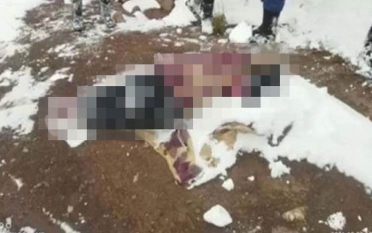 Van sınırında donarak ölen kadın, 2 çocuğunun canını kurtardı