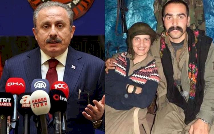 Şentop’tan HDP'li Semra Güzel'in fotoğrafları hakkında açıklama