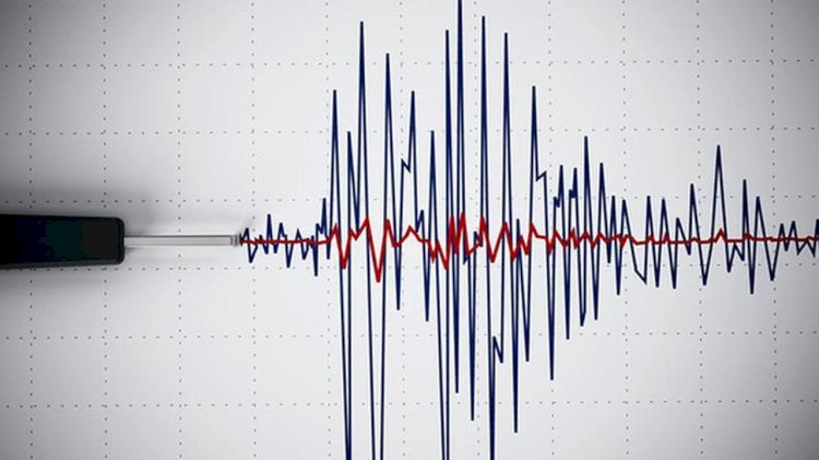 Van'da 4,6 büyüklüğünde deprem