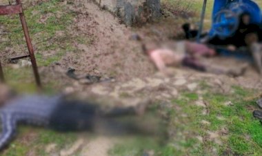 4 göçmenin daha cansız bedeni bulundu!