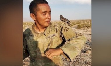 Rojava'da bir ABD askeri hayatını kaybetti!