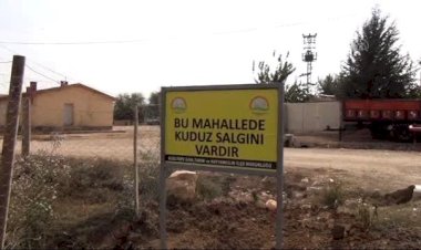 Mardin’de kuduz karantinası: Köpek 7 kişiyi ısırdı