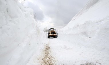 Van, Muş, Bitlis ve Hakkari'de 172 köyün yolu kapandı