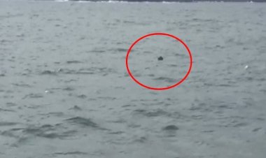 İstanbul Boğazı'nda mayın alarmı