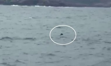 Rusya: Karadeniz’de sürüklenen mayınların nerede olduğunu kimse bilemez