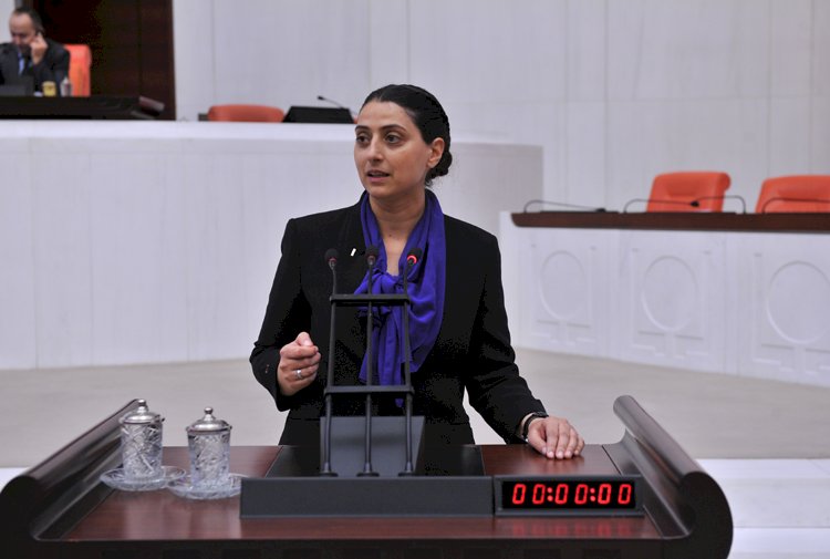 HDP'li Uca'ya 'Kürdistan' fezlekesi