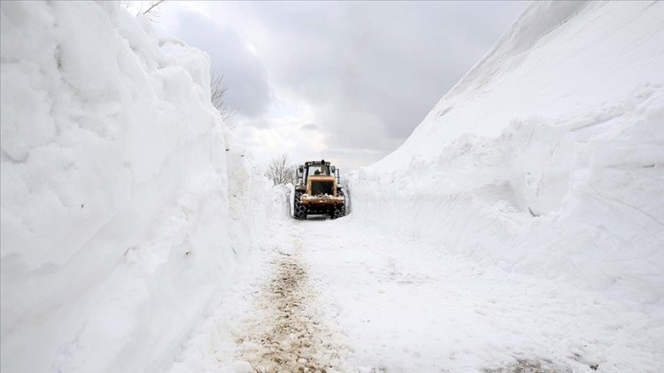 Van, Muş, Bitlis ve Hakkari'de 172 köyün yolu kapandı