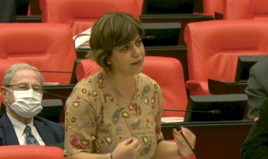 Beştaş, Leyla Güven’in cezaevine alınmayan elbisesini Meclis’te giydi