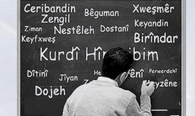 Dil Haritası Projesi'nin sonuçları açıklandı:  Anadilini konuşanların oranı ne kadar?