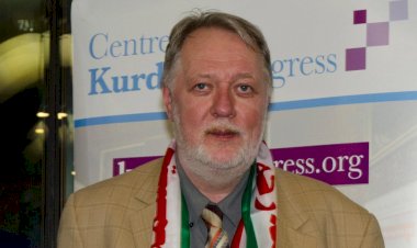 İngiliz parlamenter: Kürtlere destek olma zamanı