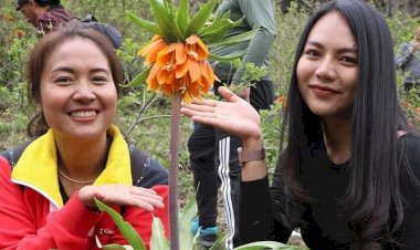 Hakkari'deki ters laleleri görmek için Tayland'dan geldiler