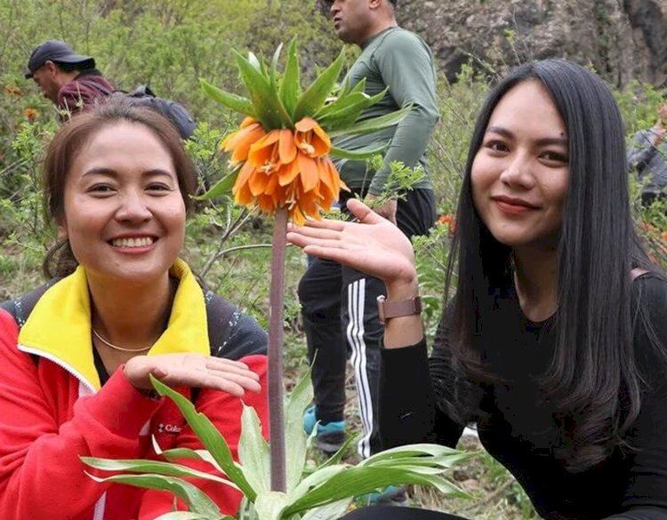 Hakkari'deki ters laleleri görmek için Tayland'dan geldiler