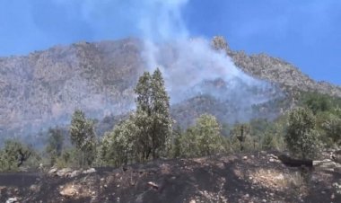 Duhok İl Meclisi Başkanı: PKK’nin varlığı nedeniyle 380 köy boşaltıldı