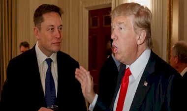 Elon Musk, Trump'ın Twitter yasağını kaldıracağını duyurdu
