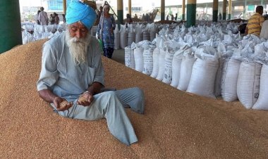 Türkiye'nin 'alternatif' olarak gördüğü Hindistan, buğday ihracatını yasakladı