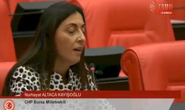 CHP'li vekilin TBMM'de Aynur Doğan protestosu