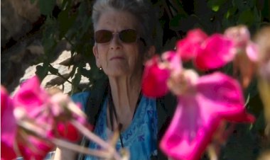 79 yaşında Kürtçe öğrenen Britanyalı'dan çağrı: Anadilinize sahip çıkın