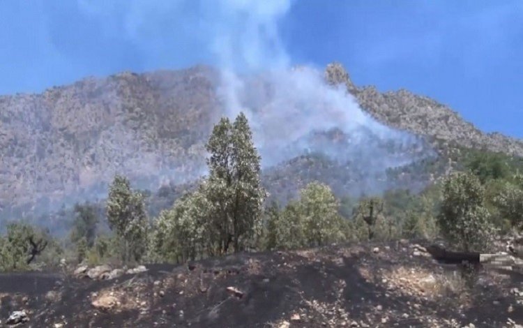 Duhok İl Meclisi Başkanı: PKK’nin varlığı nedeniyle 380 köy boşaltıldı