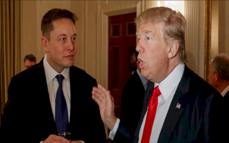Elon Musk, Trump'ın Twitter yasağını kaldıracağını duyurdu
