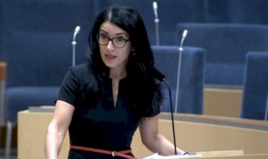 ‘İsveç hükümeti Amineh Kakabaveh'i ikna etmeleri için Rojava temsilcileri ile görüştü’