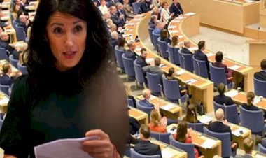 İsveçli Kürt vekil Kakabaveh: Rojava'ya destek garantisi aldım