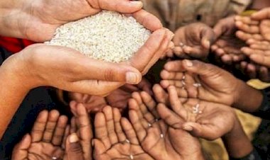 Afrika Birliği: Çok ciddi bir kıtlıkla karşı karşıya kalacağız!