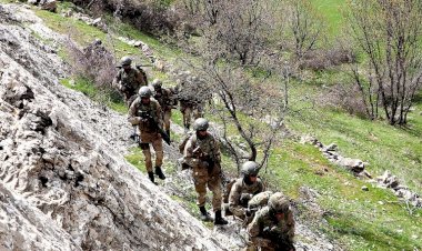 Muş'ta askeri operasyon başlatıldı