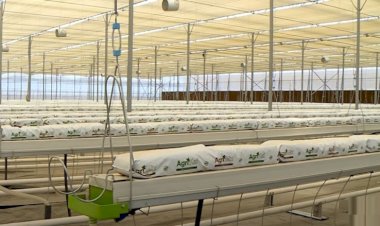 Erbil’in en büyük tarım projesi hayata geçiriliyor