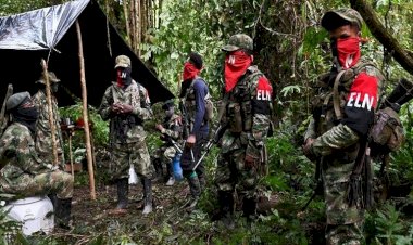 Kolombiya'da silahlı örgüt ELN'den barış görüşmeleri için yeşil ışık