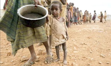 UNICEF: 8 milyon çocuk açlıktan ölmek üzere