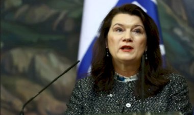 İsveç Dışişleri Bakanı Linde: Erdoğan'a boyun eğmedik