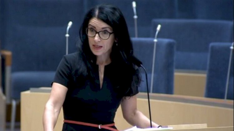 ‘İsveç hükümeti Amineh Kakabaveh'i ikna etmeleri için Rojava temsilcileri ile görüştü’
