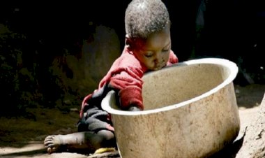 BM raporu: Açlıkla karşı karşıya olanların sayısı 828 milyona çıktı