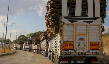 Şırnak Barosu: 'Şırnak'ta orman varlığı yüzde 8 azaldı'