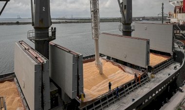 Ukrayna ile Türkiye arasında 'çalıntı Ukrayna tahılı' krizi