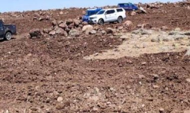 Urfa’da 3 erkeğin cesedi bulundu!