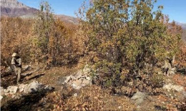 Bitlis'te askeri operasyon başlatıldı