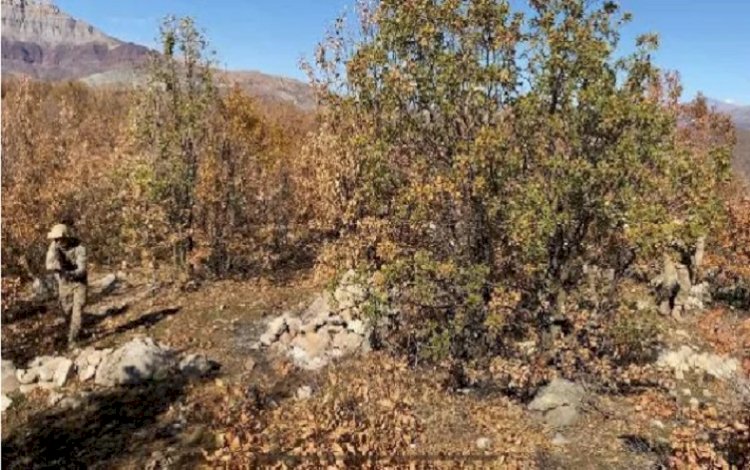Bitlis'te askeri operasyon başlatıldı